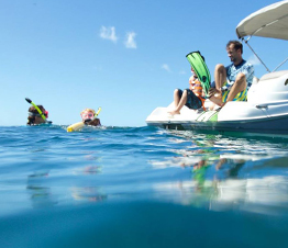 Guided Snorkeling Tours