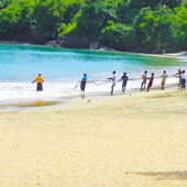 Pulling in the seine