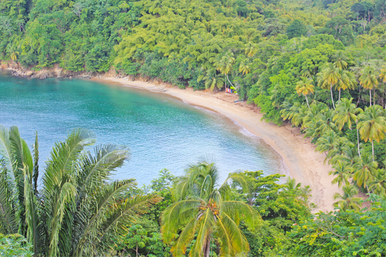 Englishmans bay - beach